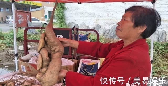 源易缘|第一次见太行山上的野生山药,就是与众不同,不像山药更像根雕