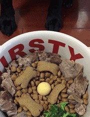 |搞笑GIF图:美女刚睡醒的样子vs你刚睡醒的样子!