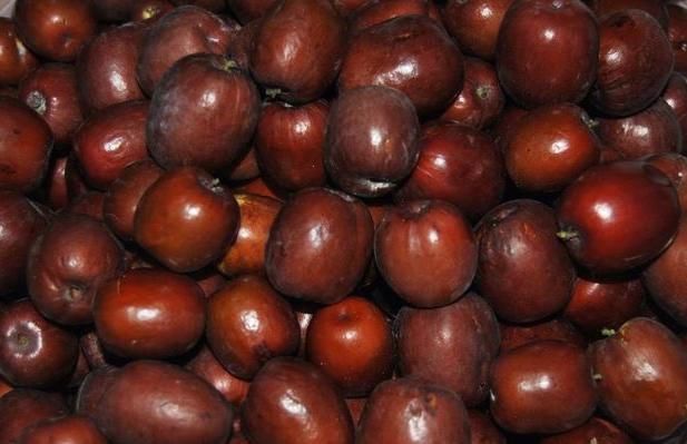 红枣|红枣配上一宝,大肚子没了,失眠好了!女人不想满脸皱纹,了解下