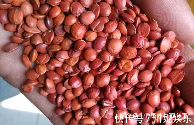 黑眼圈|每天睡前来一杯此物，告别失眠多梦，黑眼圈慢慢消失不见