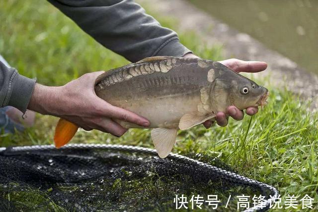 重金属|请停止吃这4种鱼，可能含有甲醛与重金属，建议转给家里人看看