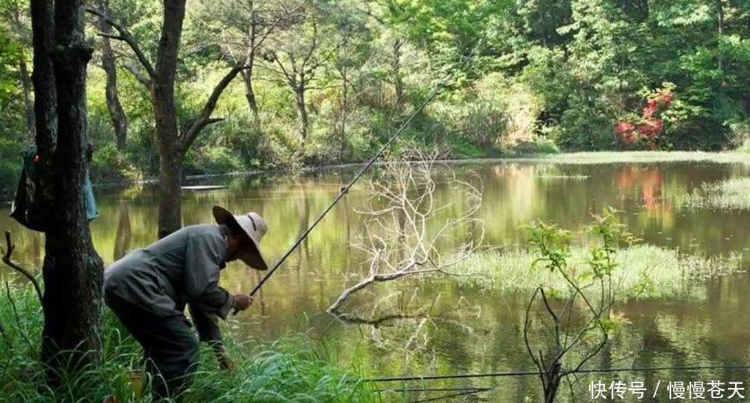 春天钓鱼,为啥新手扎堆的好天气都不上鱼?因为那天气不是好天气