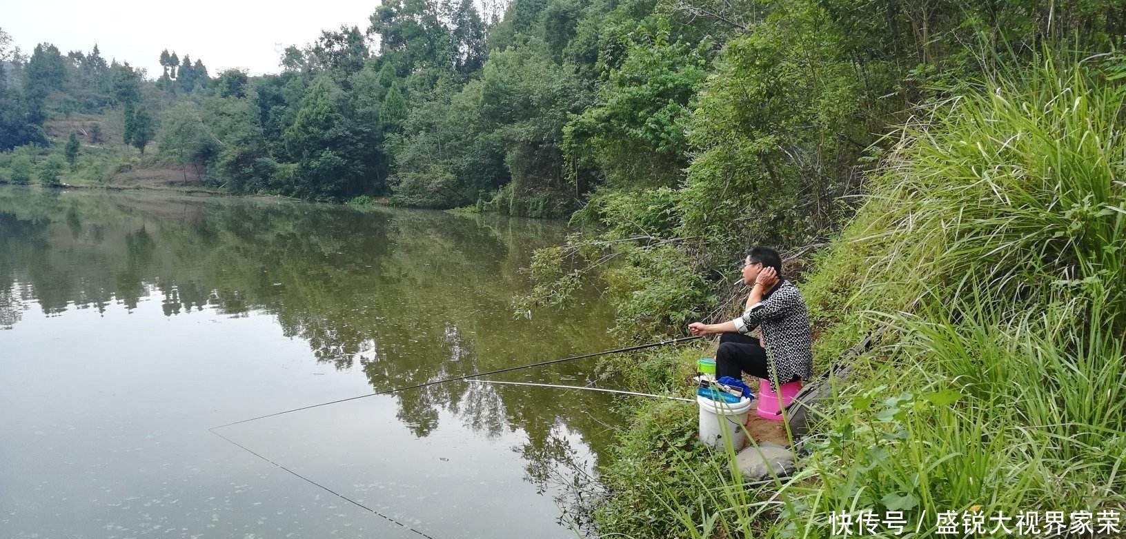 入夏后,野钓鲫鱼的四点建议,能让渔获稍微好一些