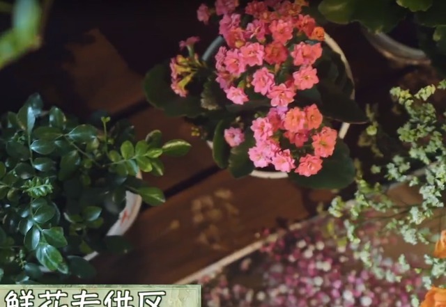 向往5 《向往5》仓库物价变贵,常驻嘉宾却“因祸得福”,大餐有着落了