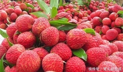 肉类|会吃的人最健康,以下肉类要多吃,营养丰富,温中益气,补虚填精