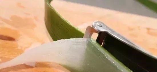 家里养花不要瞎眼!这6种花旺财又养人,有2种花是大忌!