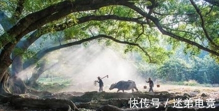 田园生活$两首描绘田园生活的诗作,恬淡淳朴,却表达出不同的心境