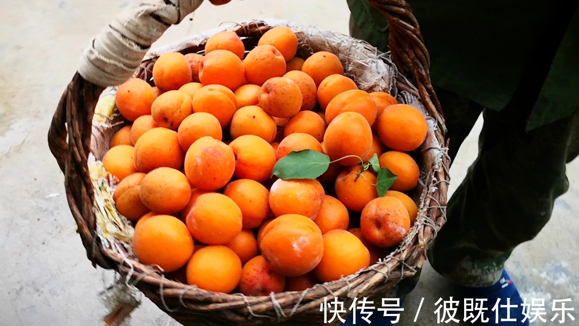 6月此果正当季,营养极高,才1元一斤,煮一煮存起来,好吃又方便