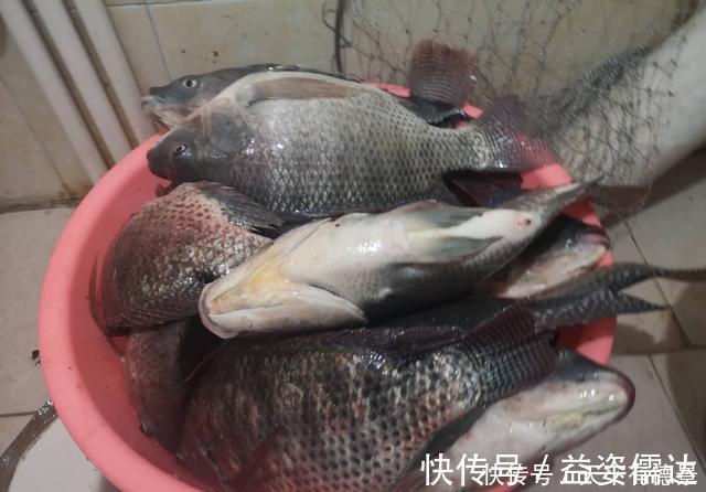 黑坑|黑坑老板有这几种行为以后别再去，妥妥的坑你没商量