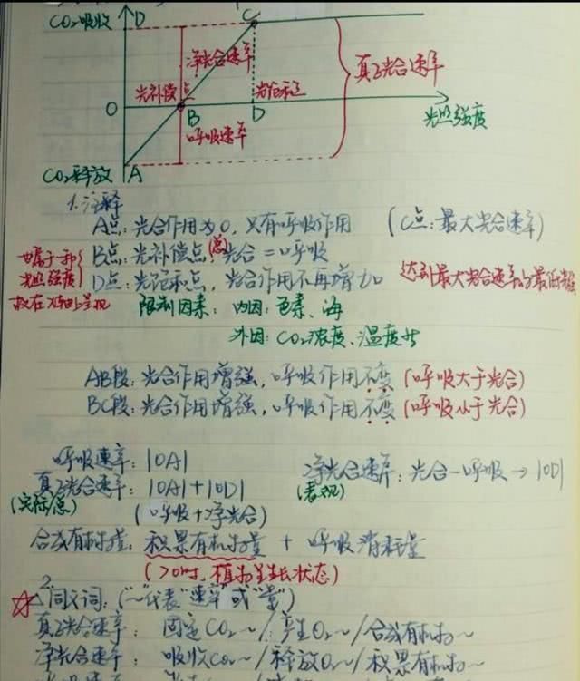 笔记|还记得那些年写过的笔记吗想要取得好成绩，这4点要牢记