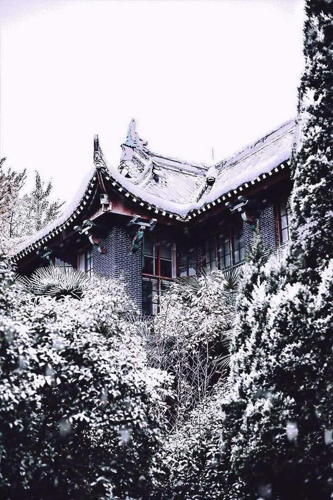 下雪|如果，雪落川大！