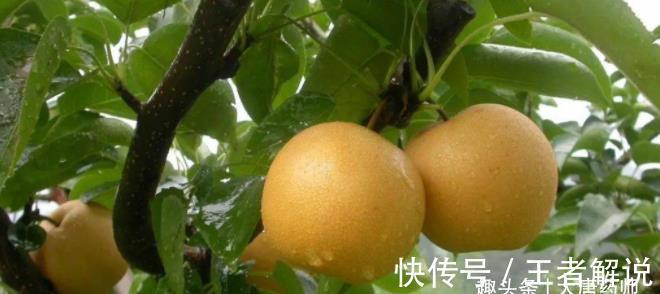 脾胃虚寒|立秋过后，养生有诀窍！吃2物做4事，排出全身毒，整个秋天少得病