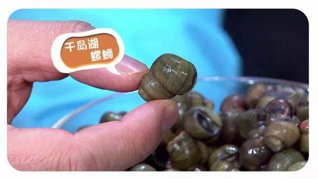  免费|价值两亿的鱼头泡饼私房菜谱？现在免费拿走！