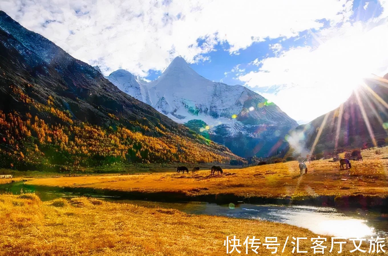 四姑娘山|忽然，就想去稻城亚丁了