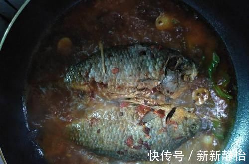 甲鱼|鲫鱼全身都是宝,营养堪比甲鱼,却常常被忽略