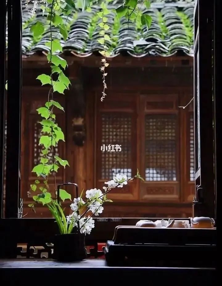 禅茶#品茶，听雨