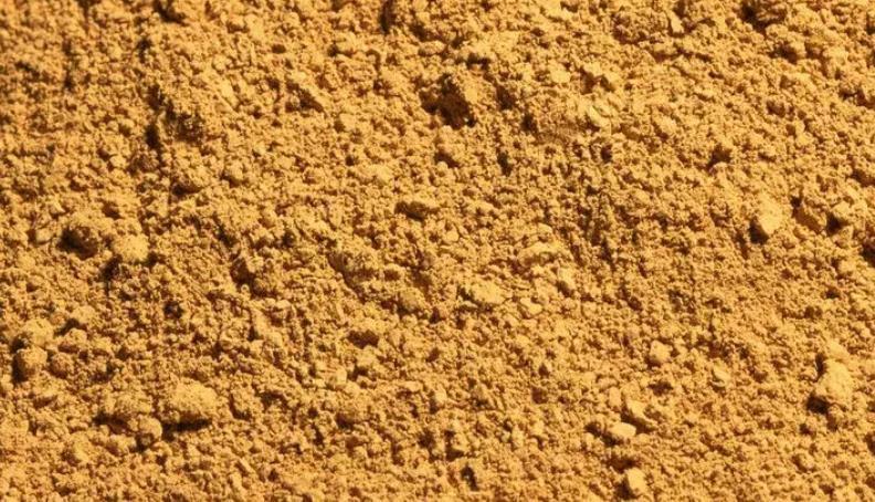 隐患|自制腐叶土养花:用什么土合适,怎么解决虫害隐患?