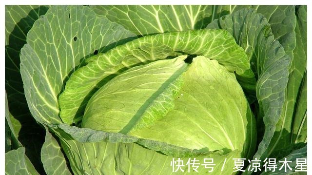 掉头发|女人冬天容易掉头发要吃这7种食材，维生素B6含量特别高！