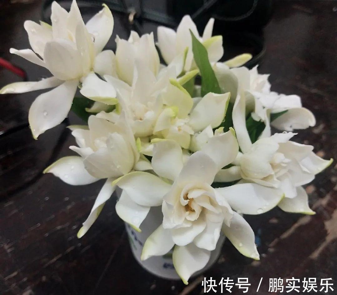 门口养棵大花树,风吹就开花,20年变成传家宝!