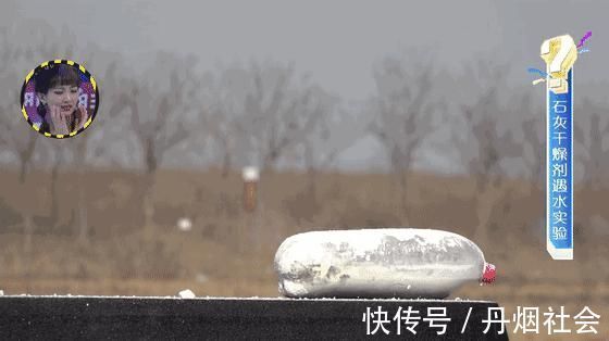 硅胶|零食袋里的干燥剂,原来还可以这样用!后悔白扔了这么多年