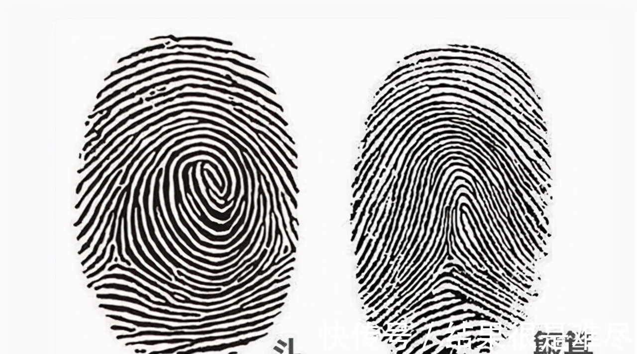 指纹$一斗穷、二斗富?康熙10个“簸箕”,科学家发现斗与簸箕的奥秘
