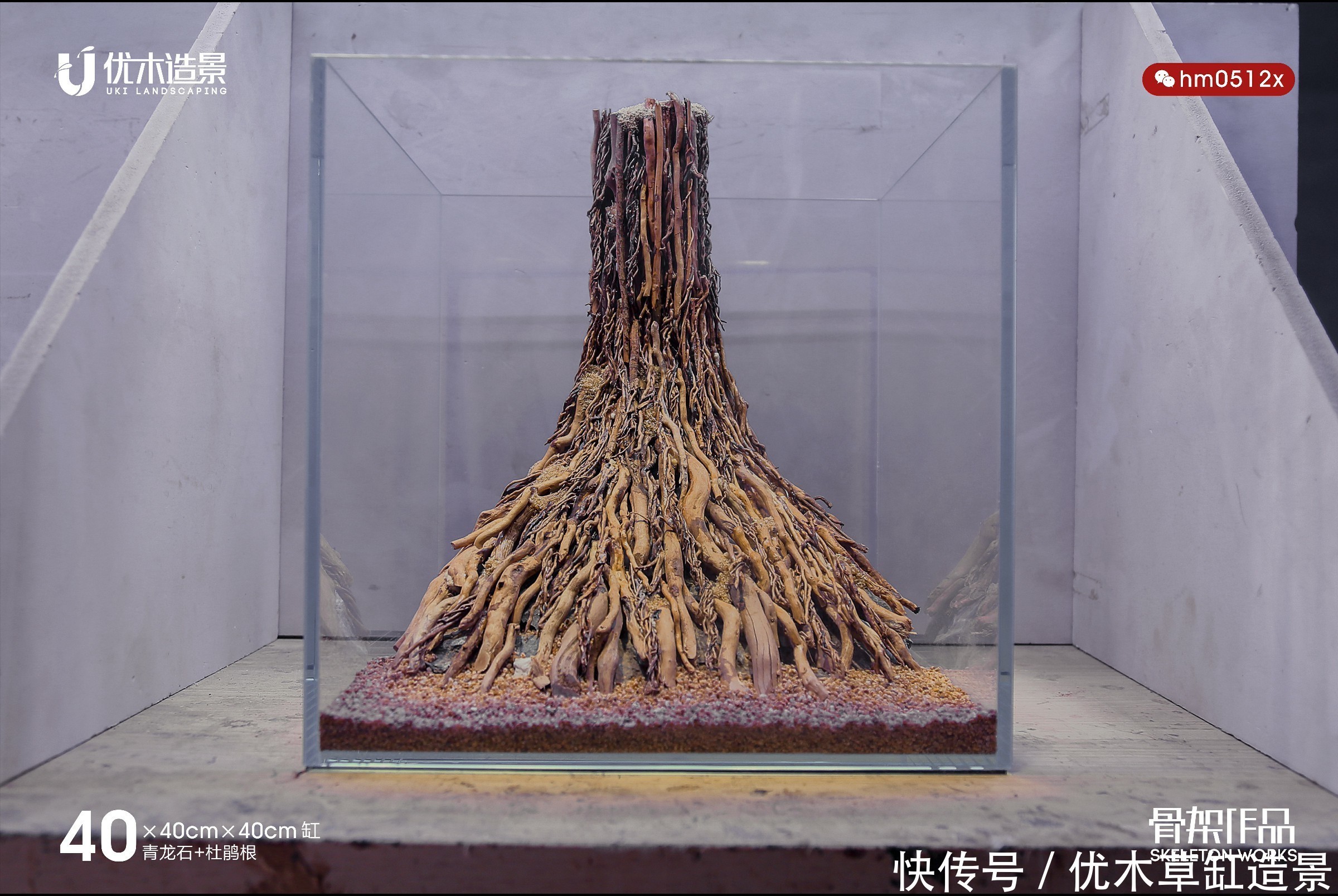 闲说几句,再来看四零方缸的生命之树的草缸造景骨架