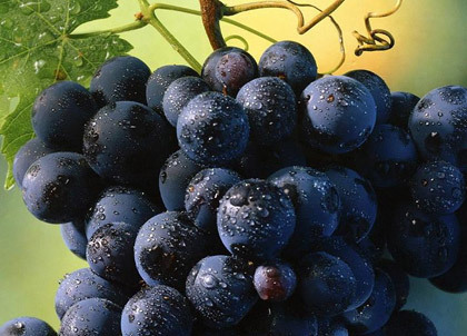 巨噬细胞|癌症都是吃出来的,医生提醒这3种食物一定要少吃!