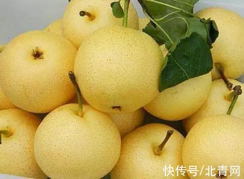 化痰|秋燥找上门，不妨多吃梨，但并非所有人群都适宜