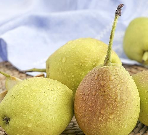  垃圾|冬季来了，要多吃四种食物，排毒养颜，调理肠胃，清理体内垃圾