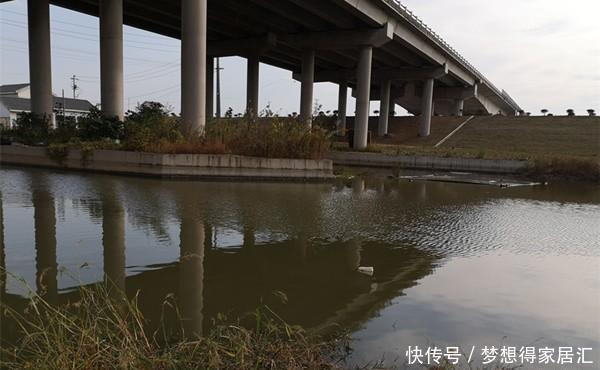 要注意|大雪过后钓鲫鱼,如何聚鱼才是关键,打窝养窝和补窝缺一不可