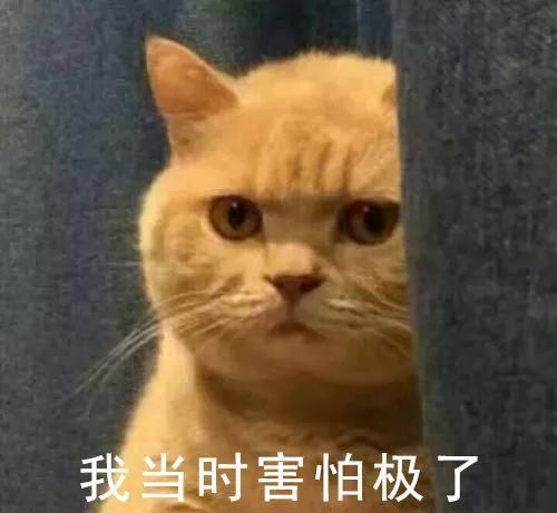 爸妈|花了20w装修新房，结果被爸妈装成了「主墓室」？？？哈哈哈哈哈