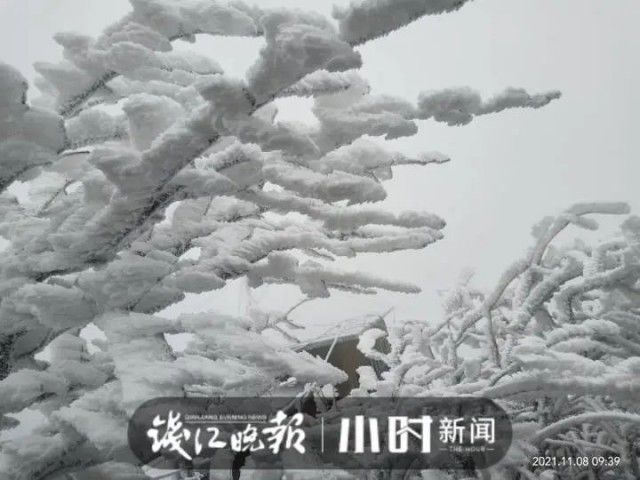 毛毛雪|杭州下雪了！这里已经一片白茫茫