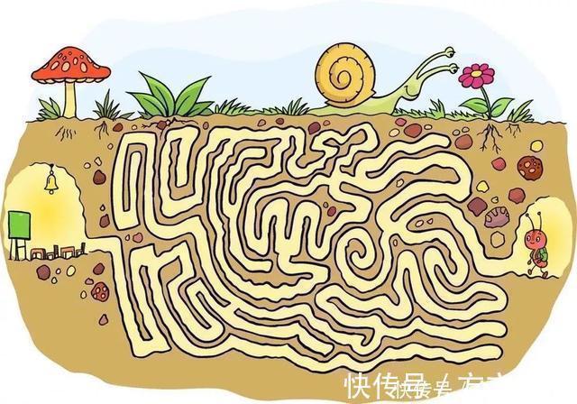 耶鲁大学|孩子被谁带大智商不同?耶鲁大学研究结果告诉你,谁带的娃更聪明