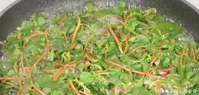 放入|当你遇到这道菜时,不要手软,一次性储存20斤,放入冰箱冷冻