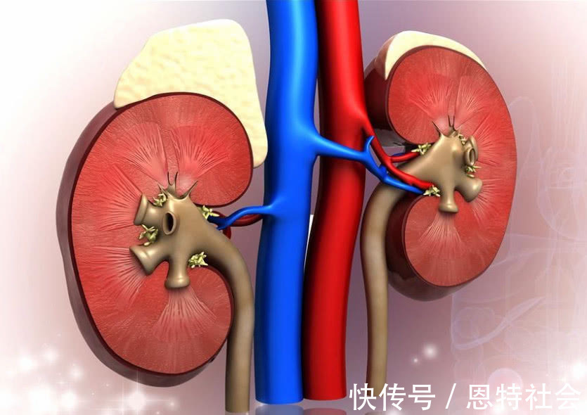 玛卡|此物曾因壮阳效果被炒到千元1斤,云南遍地都是,如今却无人问津