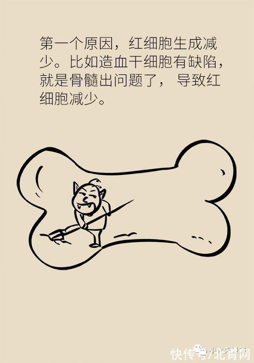 豬肝|貧血就吃豬肝、蜜棗？這么補血，照樣頭暈脫發