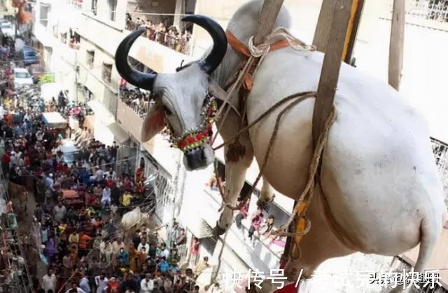 |47张“倒霉又搞笑”的图片,这些人上辈子是毁灭了银河系吗?