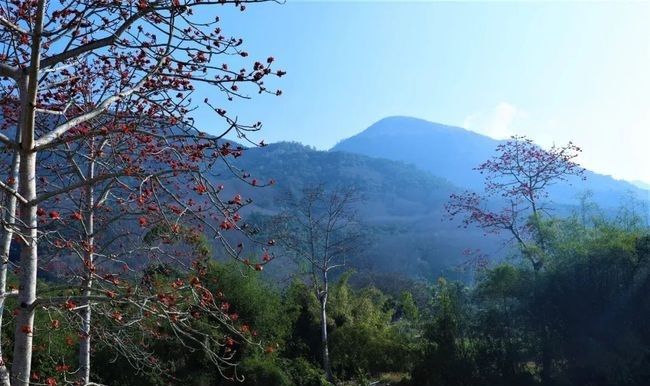 乐东县共接待游客人数11．59万人次 乡村旅游点同比增长1256．78％