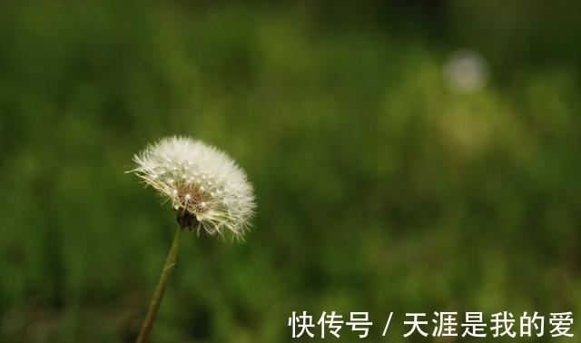 白羊座|未来一周，运势超强，事业发达，财运反转，桃花满满，收获幸福