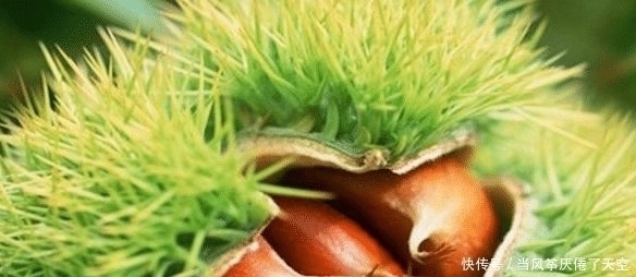 维生素c|孕妇常吃这4种食物,可以让腹中的胎儿皮肤变白,你有在吃吗