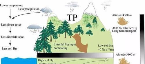 地球真的会在这个世纪达到环境临界点吗？到时人类会灭绝吗？