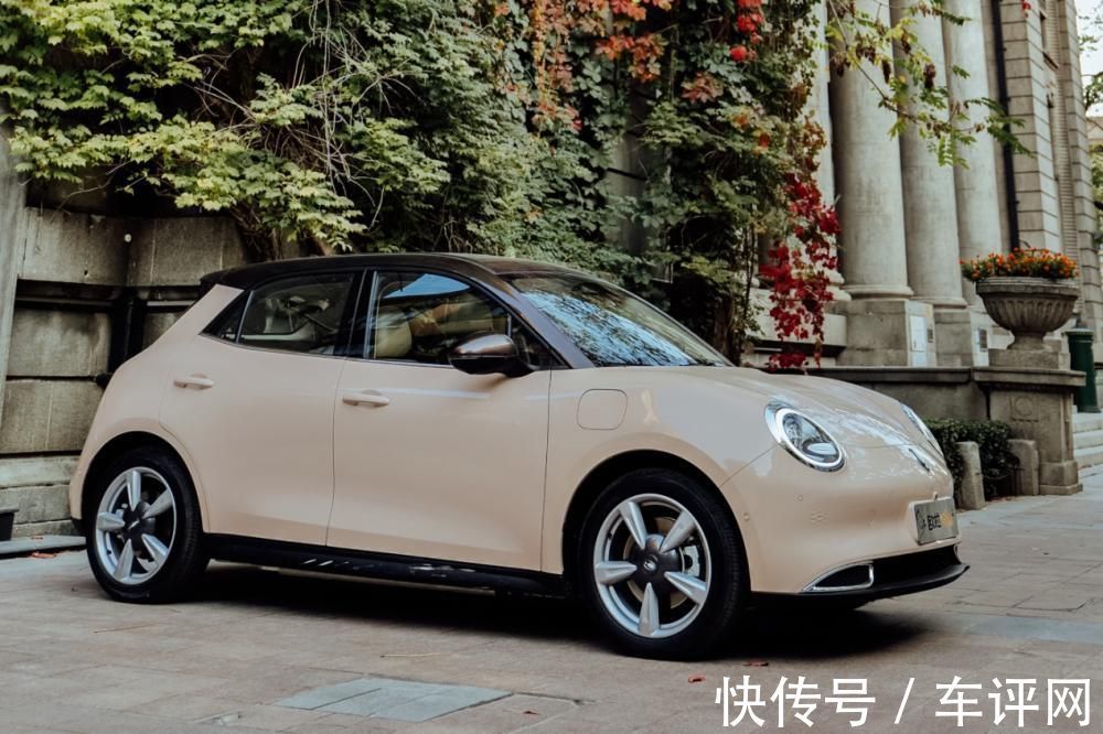 智能|欧拉再次回应“芯片门”,事态二次发酵,公关玩文字游戏越描越黑