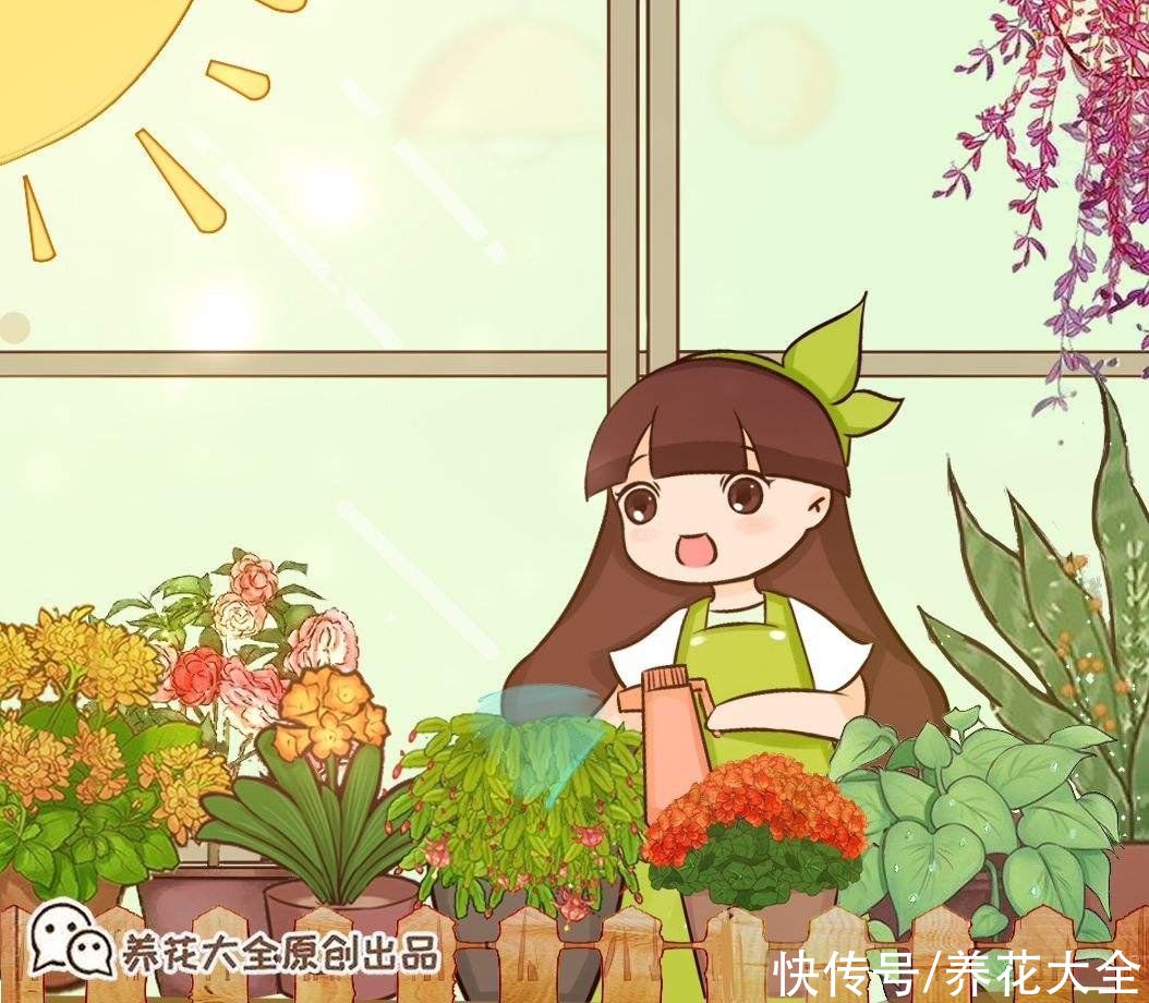 刚买回家的花，花市老板都让浇水，到底什么原理？