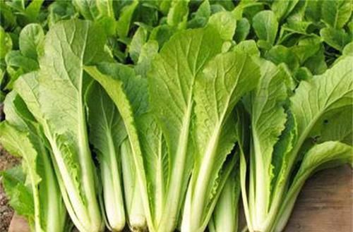 中年|对身体最好的3种食物，美容养颜，滋润肌肤，早吃早好！