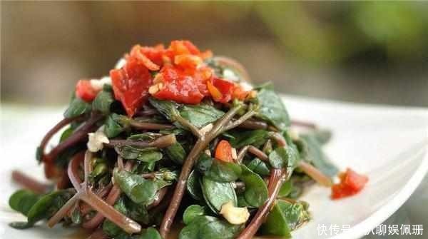 农村才有的三种野菜，功效很多，城里人吃不着