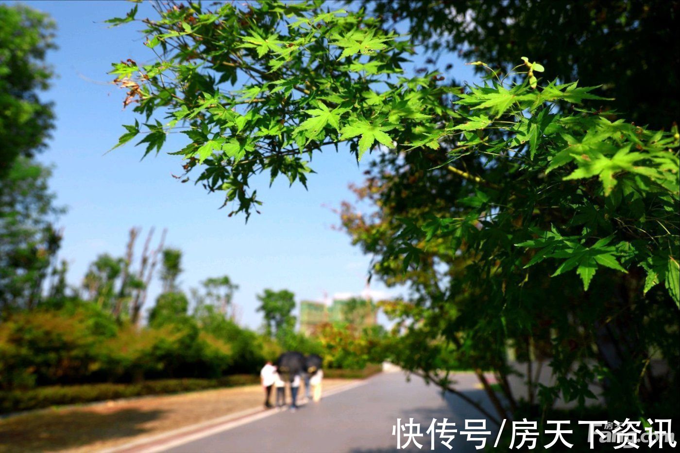 经开区|萍乡经开区热门楼盘现场最新视频，点击查看