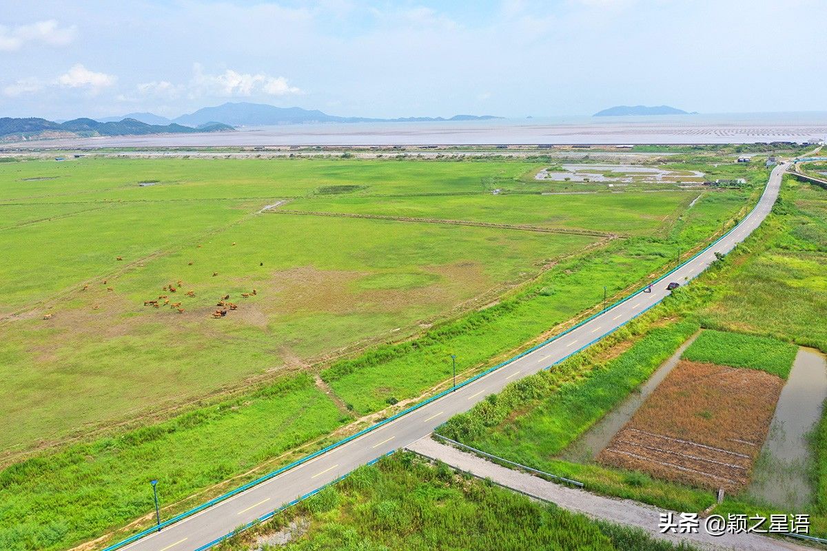 玻璃桥|有山有海有草原，全域旅游象山东陈乡，人文风景荟萃