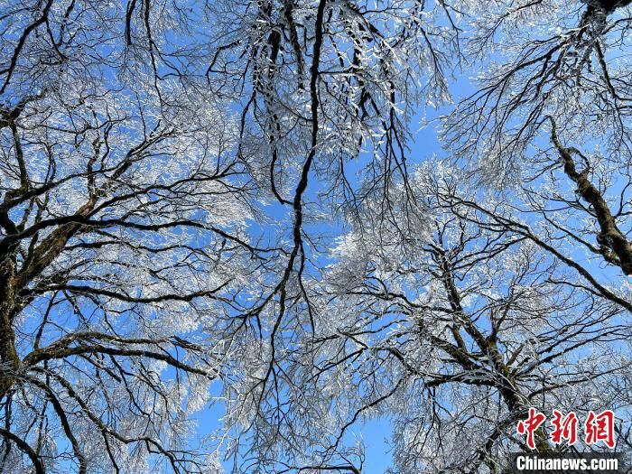 雪原|广西北部深山出现一片彩色雪原