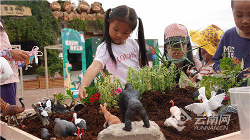 云南野生动物园|第五届云南省中小学生野生动物绘画大赛圆满落幕 投稿作品超15000幅