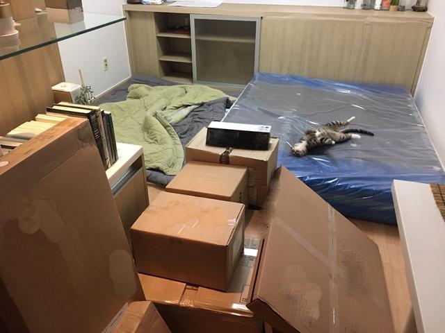 改造|25㎡出租房床都没有，花7000块改造，房东看完竟说到期后要自己住